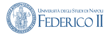 Logo federico secondo